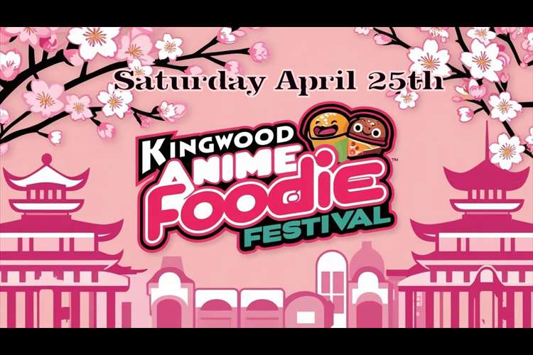 Anime Festival